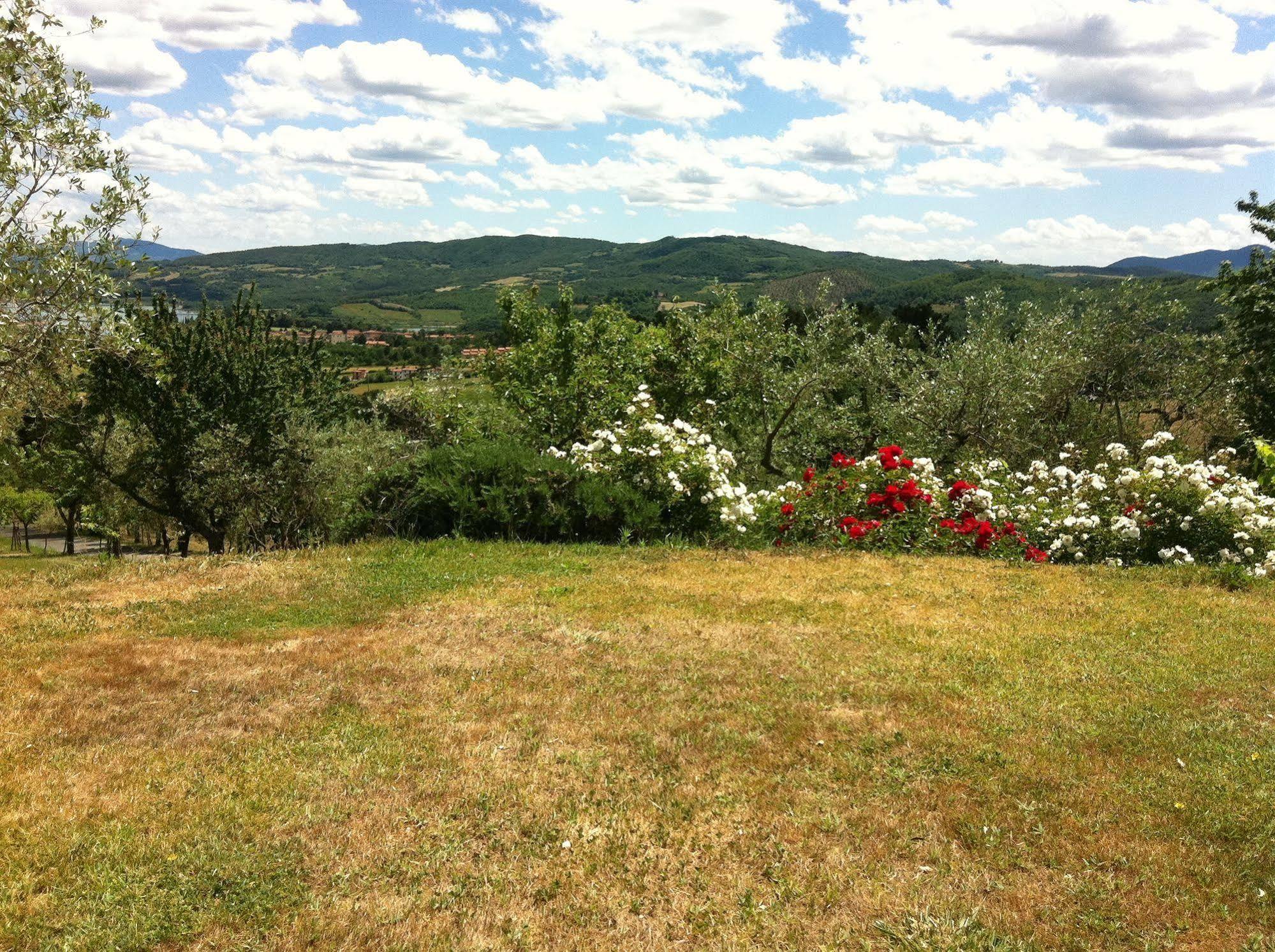 Poggio Agli Ulivi Villa Barberino di Mugello Dış mekan fotoğraf